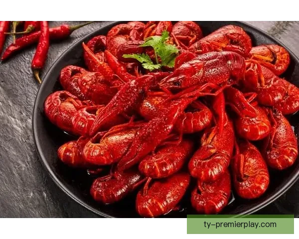 FC首尔联名宝可梦邀你一起看球赛