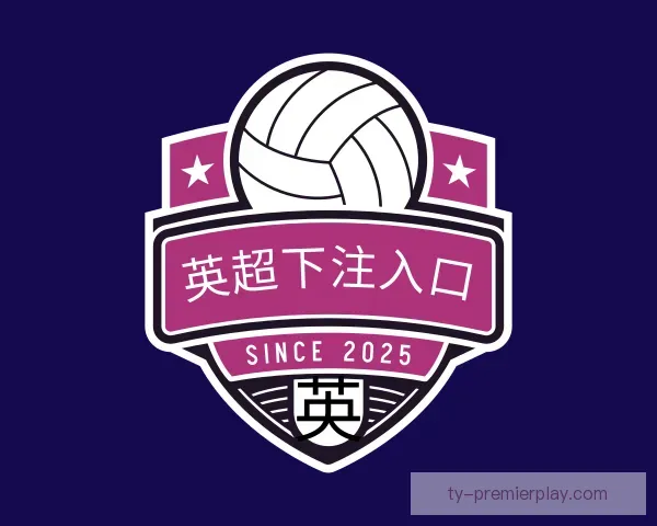 了解英超视频直播